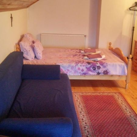 Hotel Casa Doina à Buşteni Extérieur photo