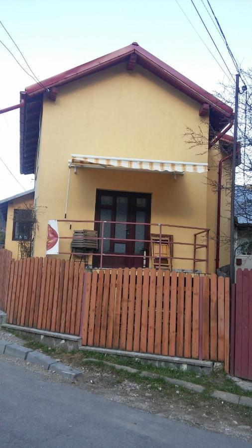 Hotel Casa Doina à Buşteni Extérieur photo