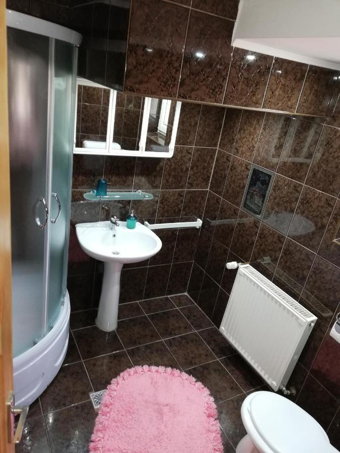 Hotel Casa Doina à Buşteni Extérieur photo