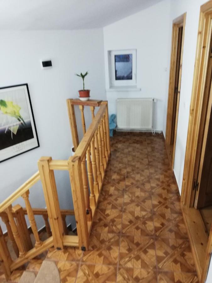 Hotel Casa Doina à Buşteni Extérieur photo