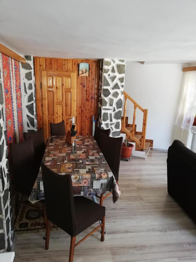 Hotel Casa Doina à Buşteni Extérieur photo