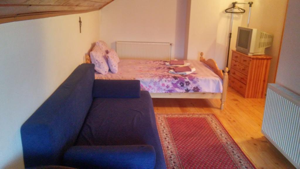 Hotel Casa Doina à Buşteni Extérieur photo